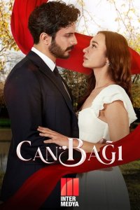 Струны любви